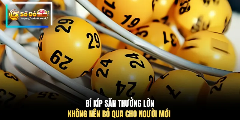 Bí kíp săn thưởng lớn không nên bỏ qua cho người mới 