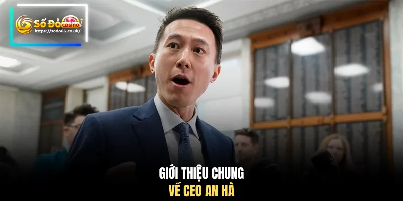 Giới thiệu chung về CEO An Hà