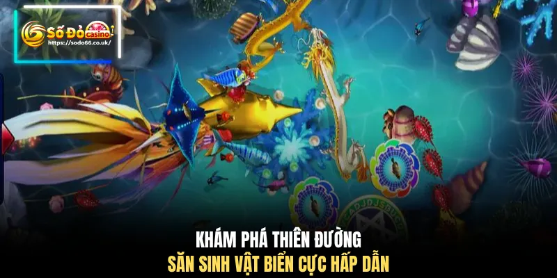 Khám phá thiên đường săn sinh vật biển cực hấp dẫn